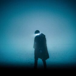 wesley snipes net worth