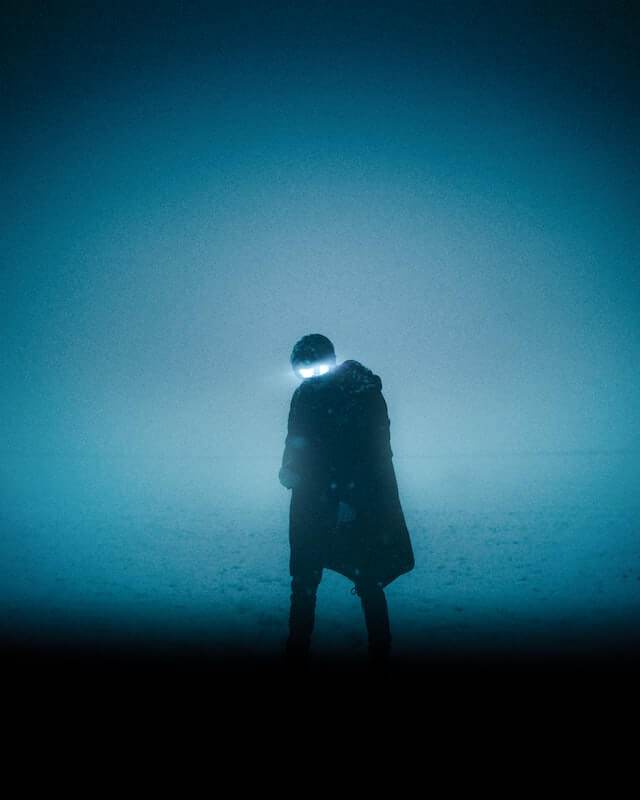 wesley snipes net worth