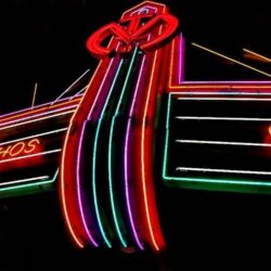 sutton stracke net worth