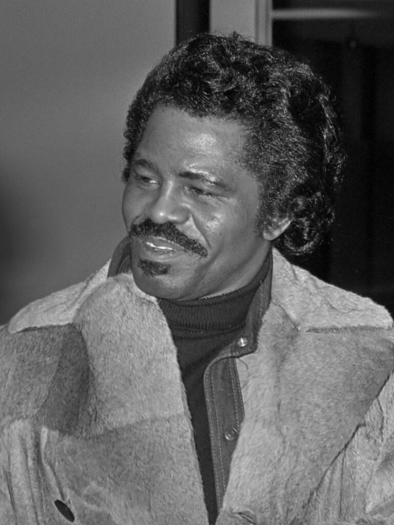 james brown net worth 1 james brown — editorial portrait